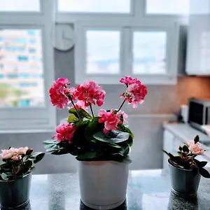 Apartamento Paradise In Maspalomas, San Bartolomé